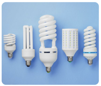 Bóng đèn điện quang 8v 